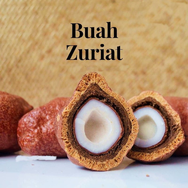 

TERMURAH Buah Zuriat Madinah Dan Mesir ORIGINAL single promil / buah doum / adam hawa program hamil