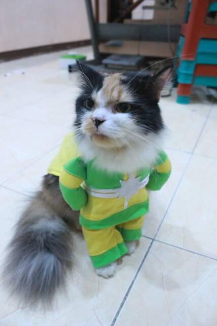 Kostum kapten marvel another untuk kucing dan anjing / baju kucing murah size S M L XL