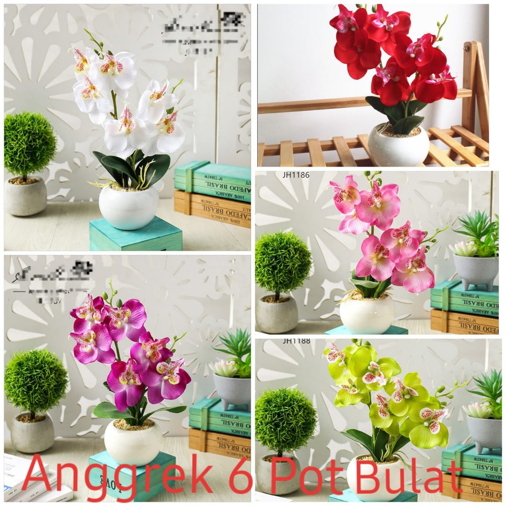  Bunga  Anggrek  6 Pot Bulat 1kilo muat 3pcs Artifisial 