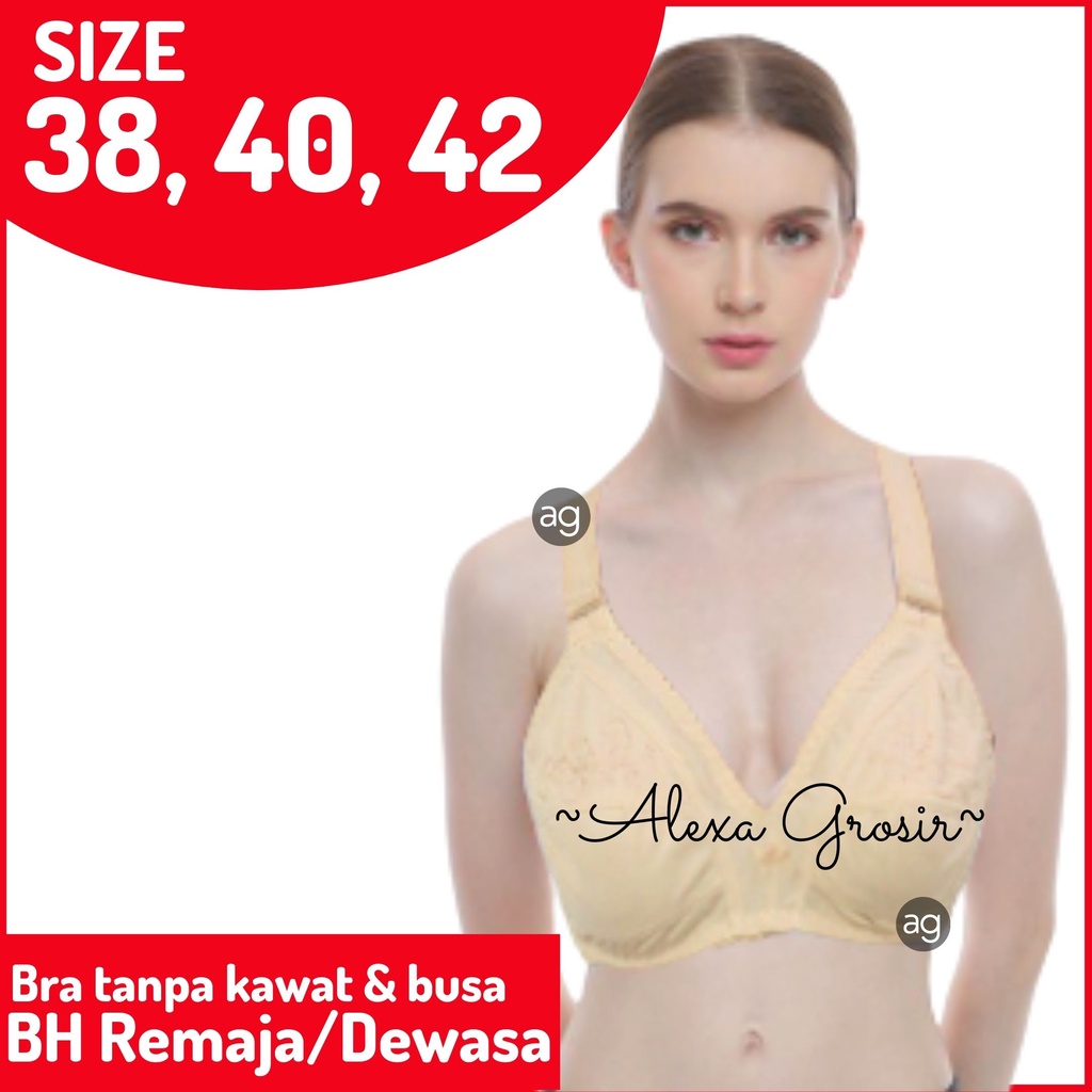 Bra Murah Bra Fashion Wanita Bra Wanita Murah BH Lokal Non Busa Tipis Tanpa Kawat Push Up Bra/alexa