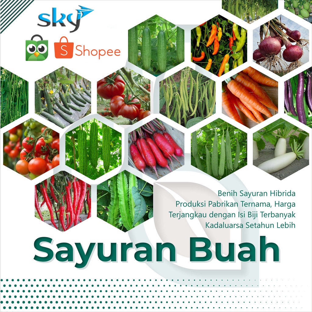Bibit Sayuran Buah dan Bunga | Benih Rumahan Cabe, Paprika, Bunga hias, Terong, Jagung