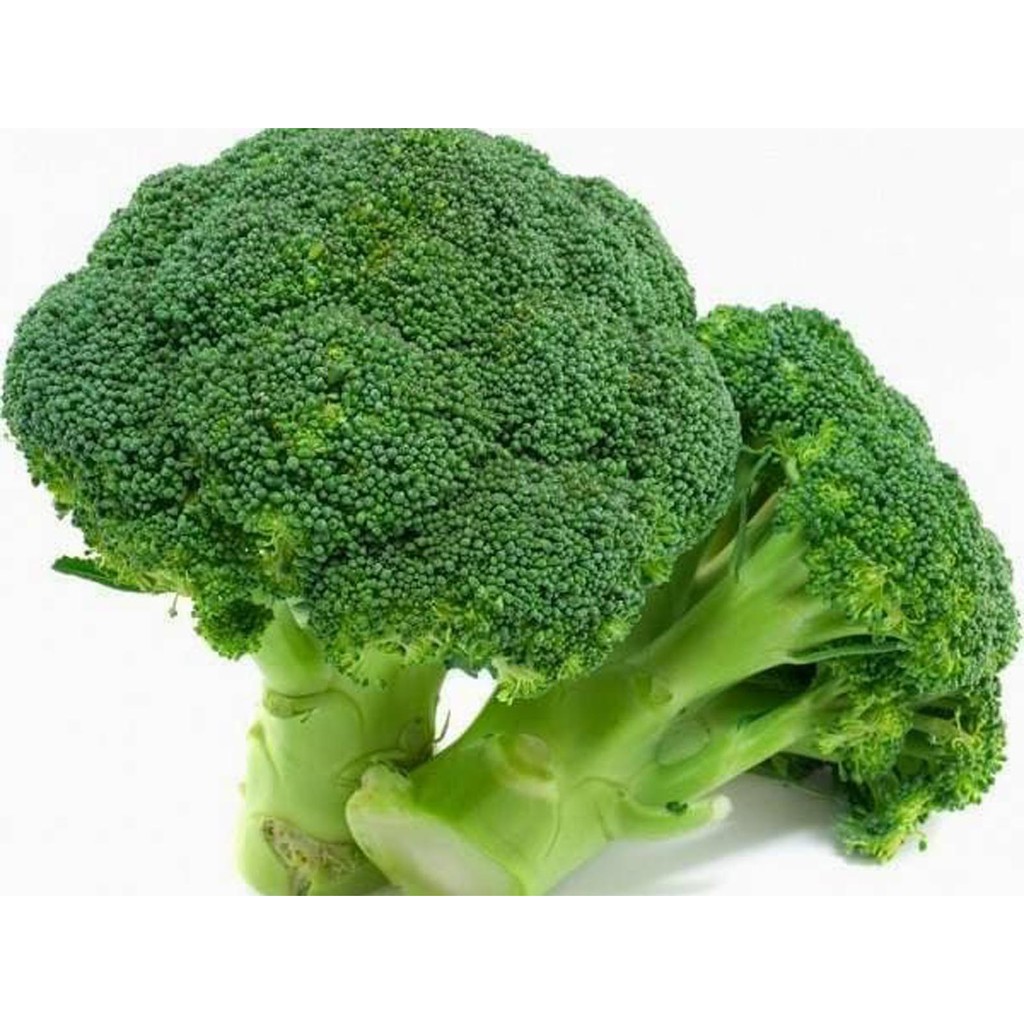 Biji Sayur Brokoli Organik Organic De Cicco Broccoli - Bibit Tanaman Sayur Brokoli - Brokoli - COD