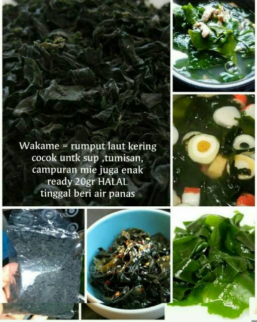 Wakame 5gr 10gr rumput laut nori kering dried seaweed sup rumput laut halal miso soup jepang