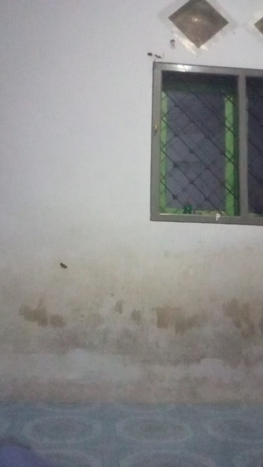 Parutan Keju Kentang Coklat Cheese Grater Stainless - Parut Keju Stainless