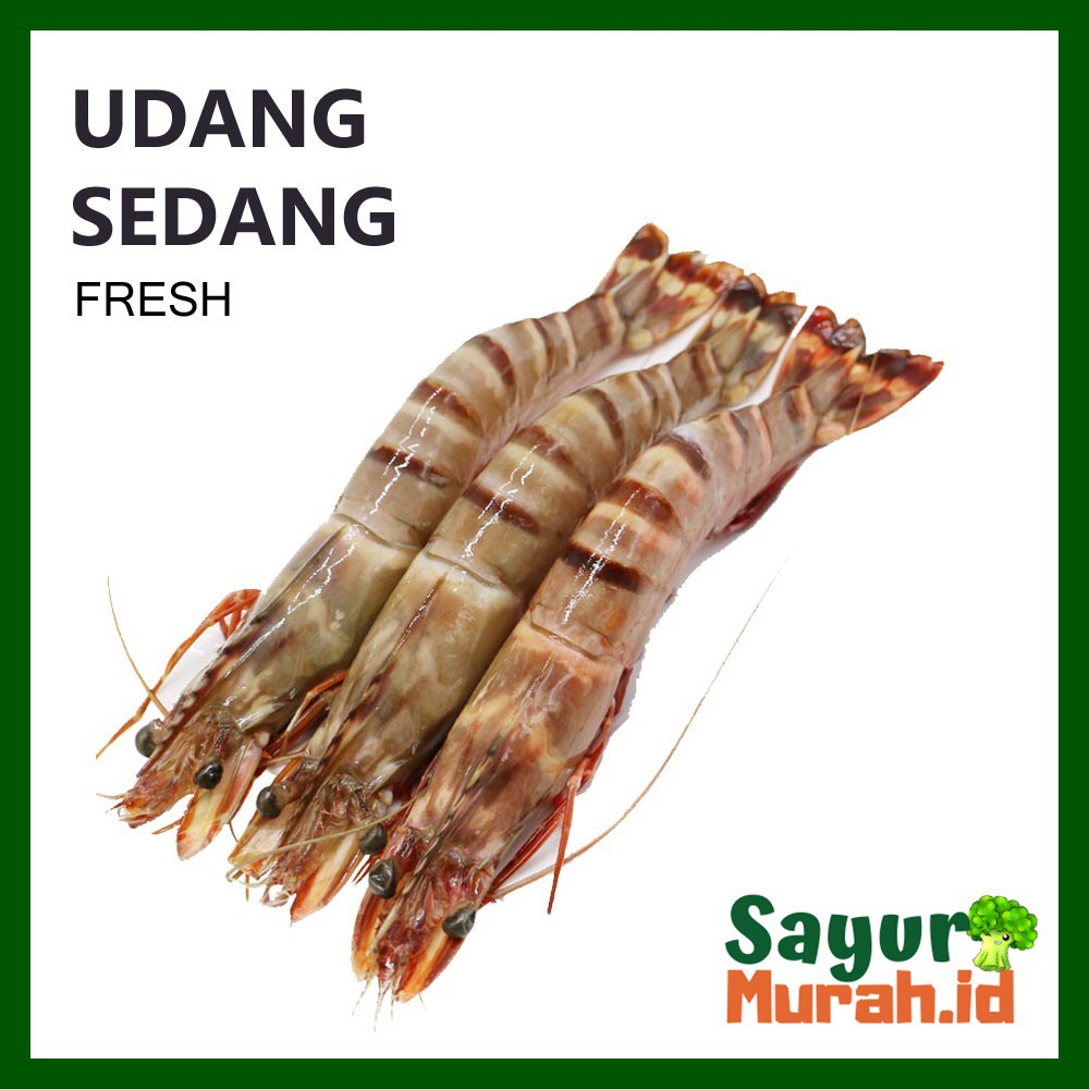 

UDANG FRSH UK. SEDANG [250g]
