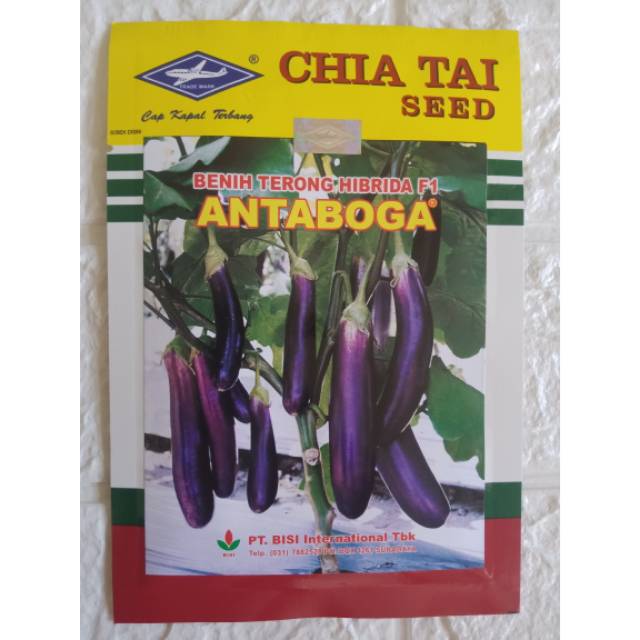 ANTABOGA F1 Benih Terong Ungu Bibit Terung Hibrida Bisi Chia Tai Seed Cap Kapal Terbang