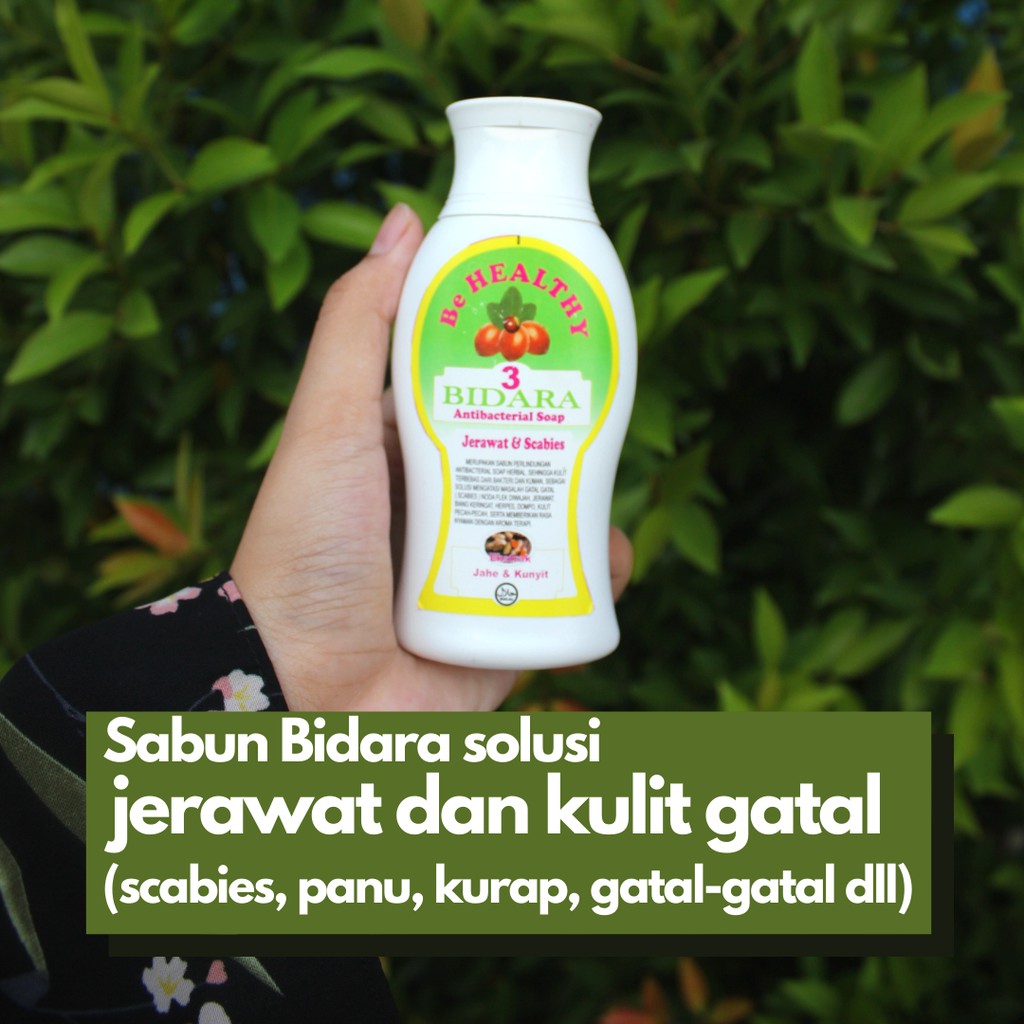 Sabun Bidara Anti Bakteri Obat Gatal Penyakit Kurap Jamur Gatal-Gatal