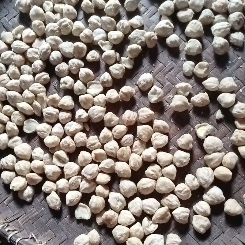 

Kemiri Bulat butir 1/4 Kg