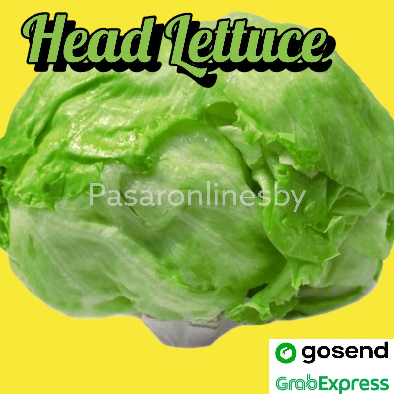 

PASAR GUBENG - Head Lettuce perpcs