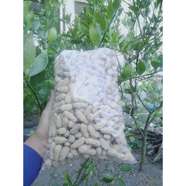 

kacang kulit sangrai 1000gr