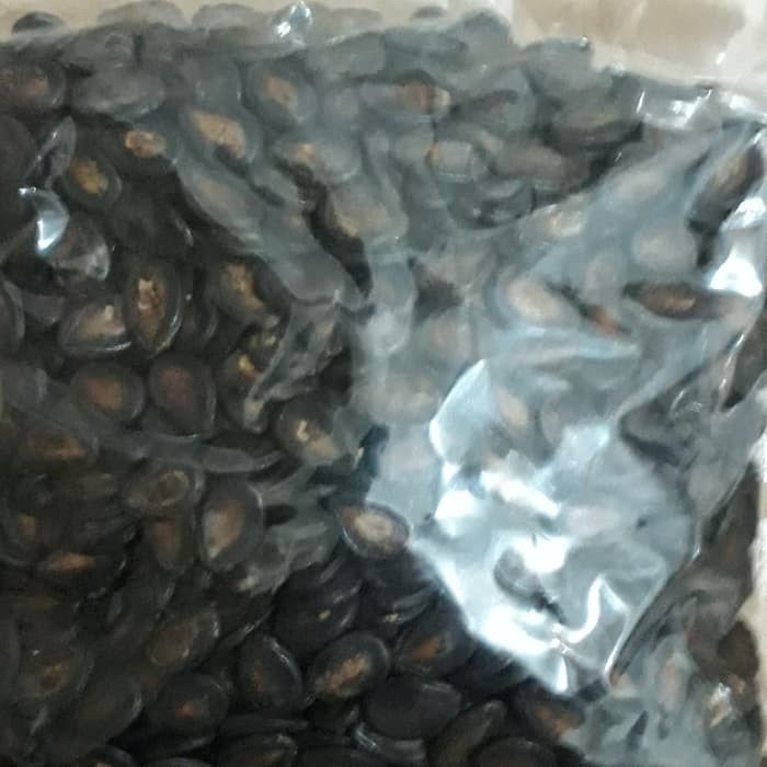 

Kuaci kwaci hitam 500g
