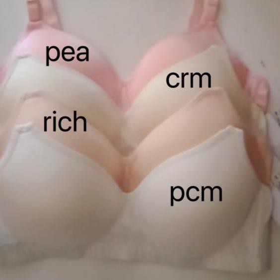 ♨ BPC437 bra pierre cardin tanpa kawat 34B 38B ☝