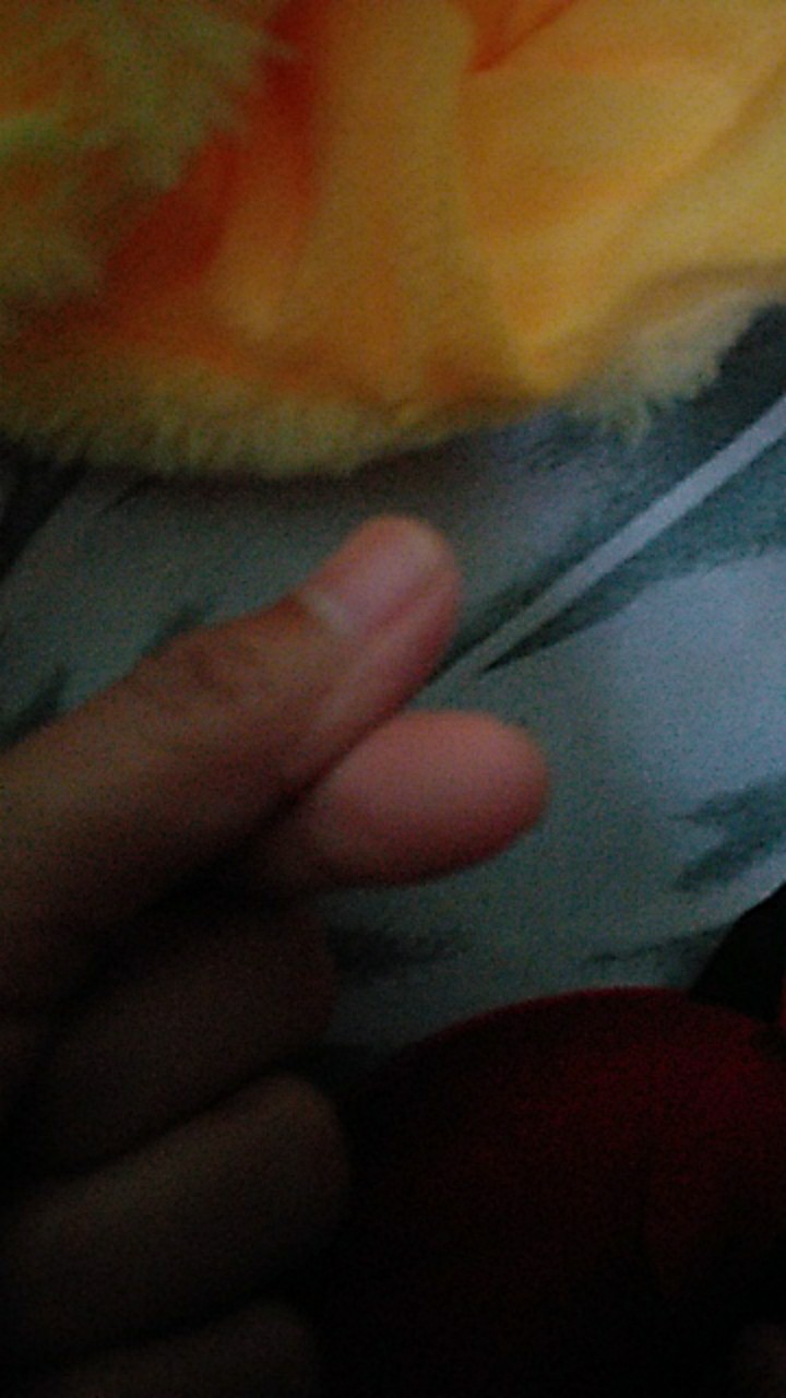 Paket Cuci Piring Free Spons
