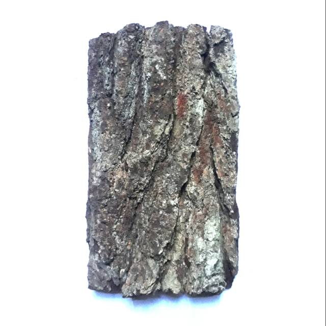 Media Tanam Anggrek Tempel Kulit Pinus