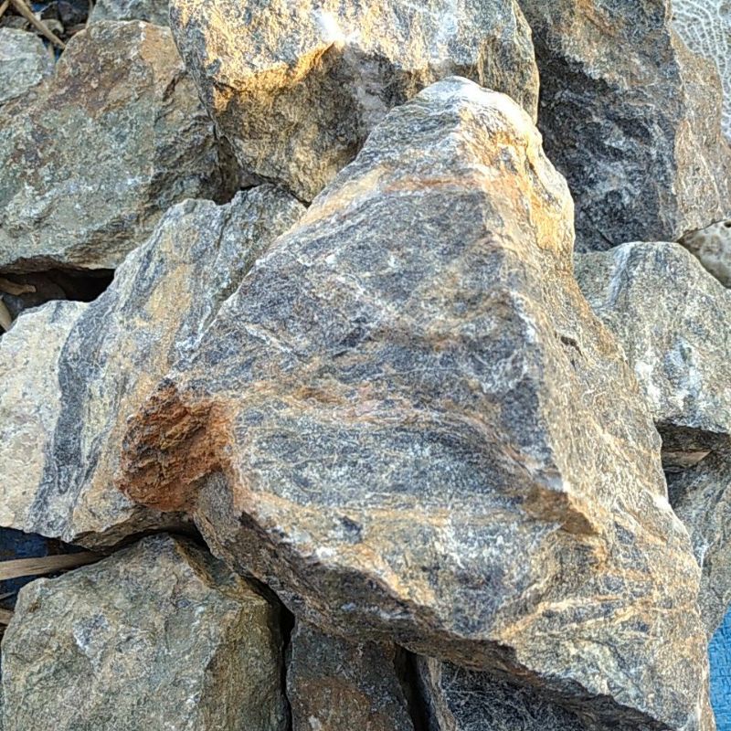 Batu Flaz Aquascape Aquarium Paludarium