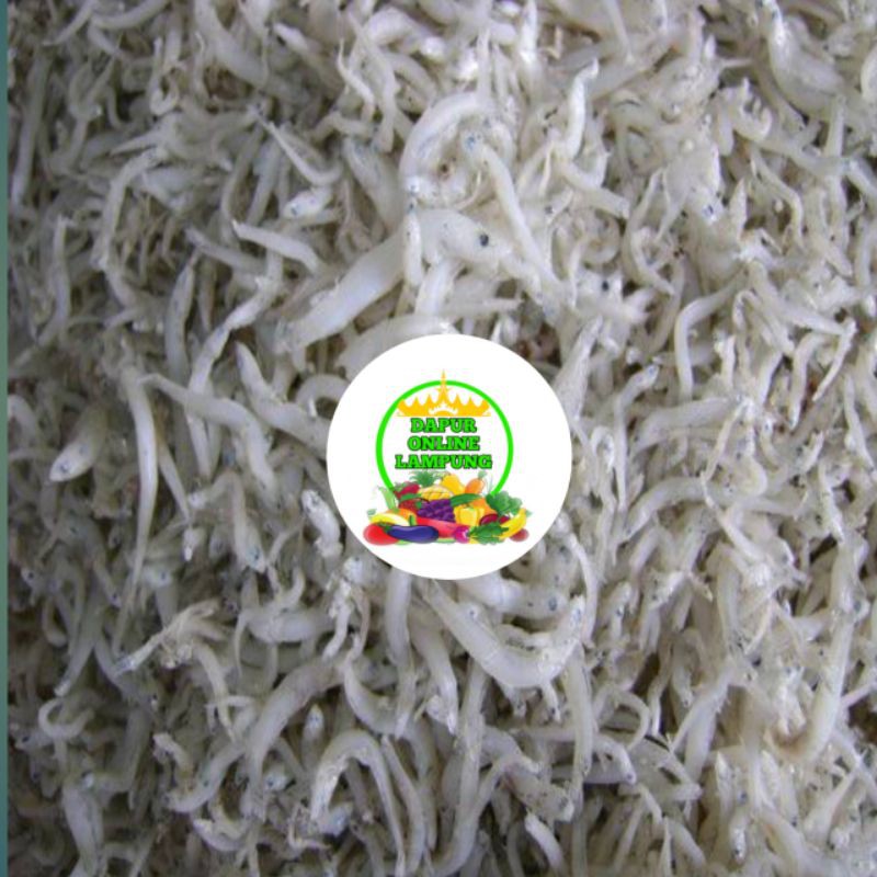 

IKAN TERI MEDAN / TERI NASI TERMURAH FRESH Bandar Lampung