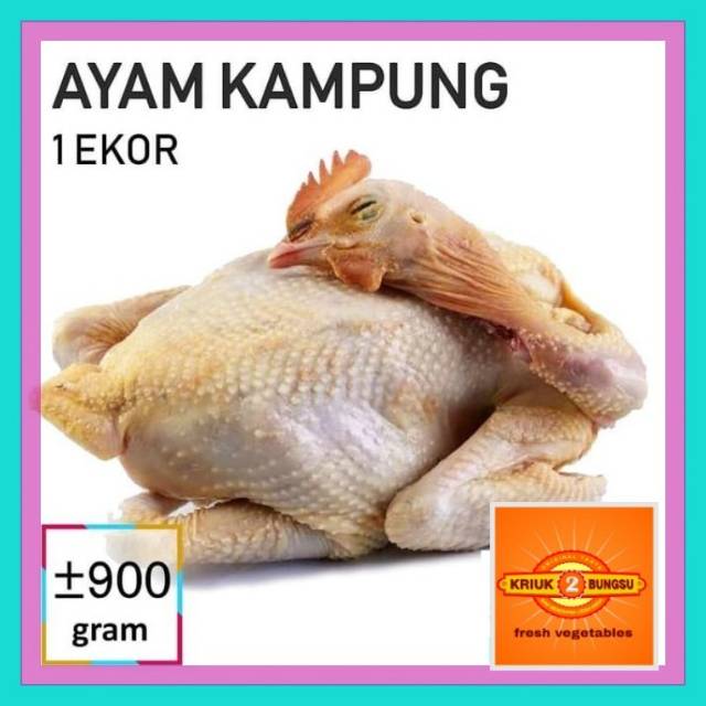 

Ayam kampung