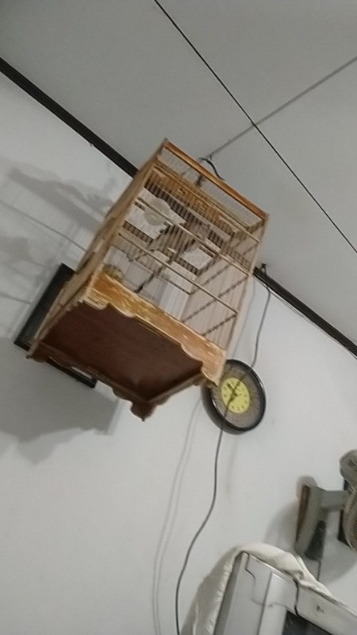Bantal Selimut Karakter / Balmut 2in1
