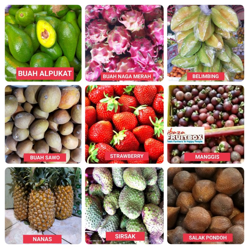 

Buah Eksotik Indonesia Buah Naga/ Alpukat Mentega/ Nanas/ Manggis/ Buah Sawo/ Buah Belimbing/ Buah Sirsak/ Buah Strawberry/ Buah Rambutan