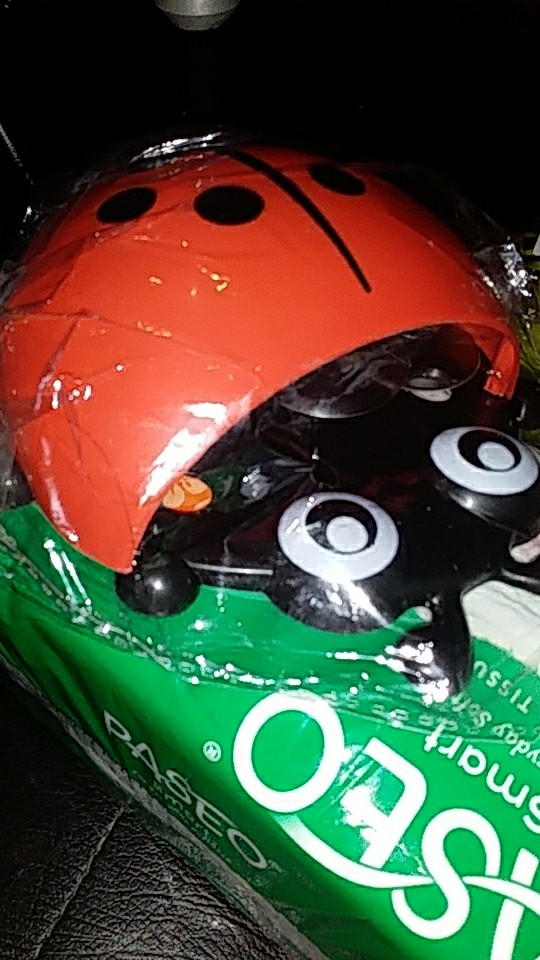 Bathroom Wall-mounted Suction Cartoon Ladybug Toothbrush Storage Holder /household Cute Wall Sucker Hooks Brush Container Cup Shelf