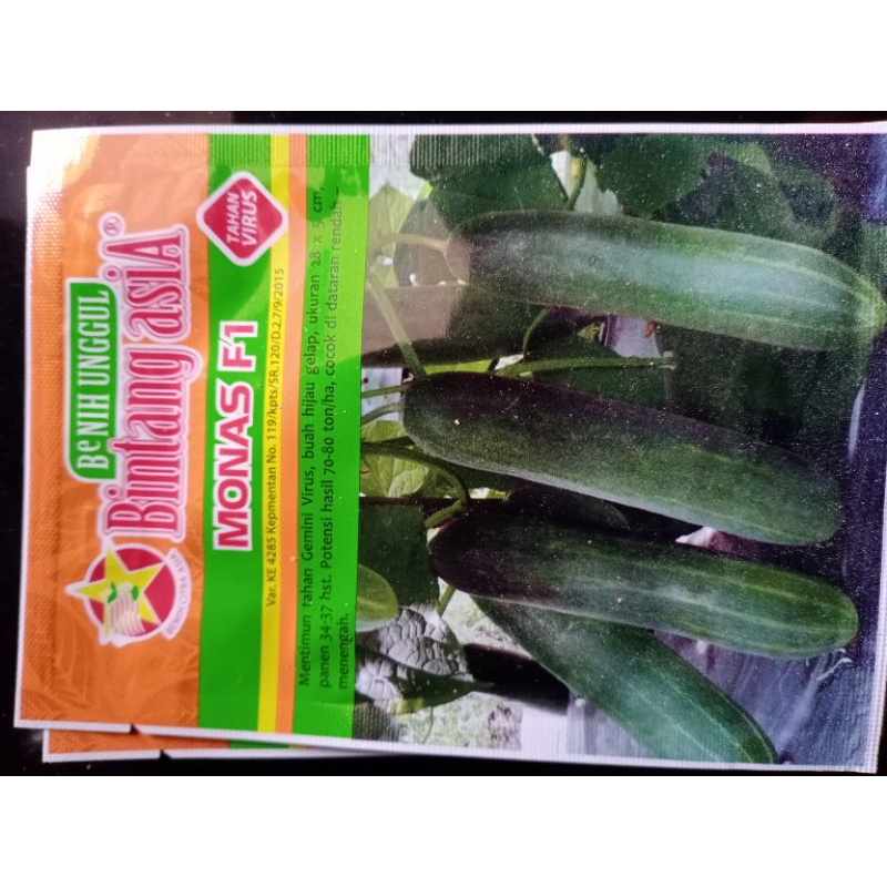 benih timun monas f1