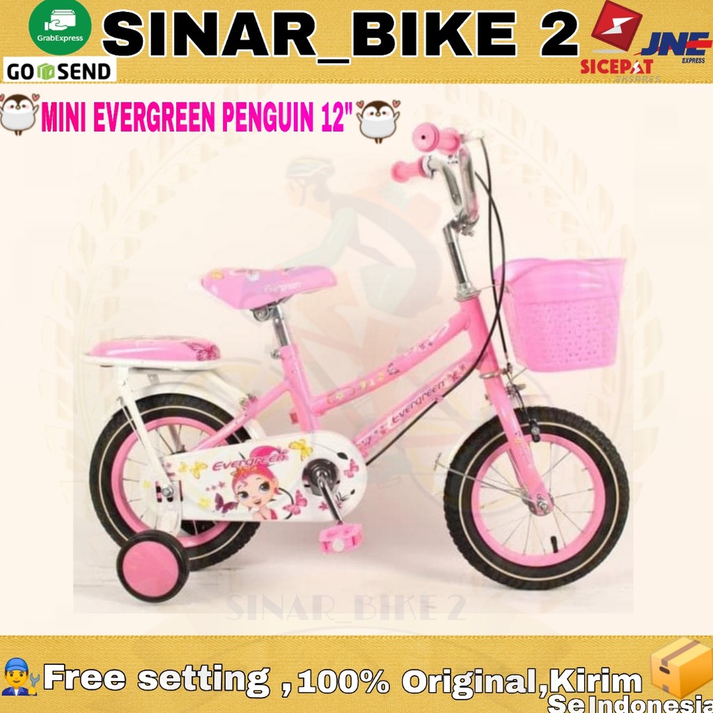 Sepeda Anak Perempuan Mini EVERGREEN Penguin 12Inch Usia 2-4Th (Gosend/Grab)