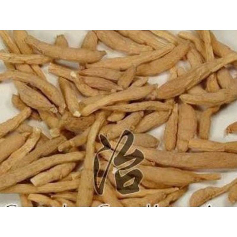 

10 G 50 GR 100 GRAM 太子参 TAI ZI SHEN PSEUDOSTELLARIA RADIX PSEUDOSTELLARIAE