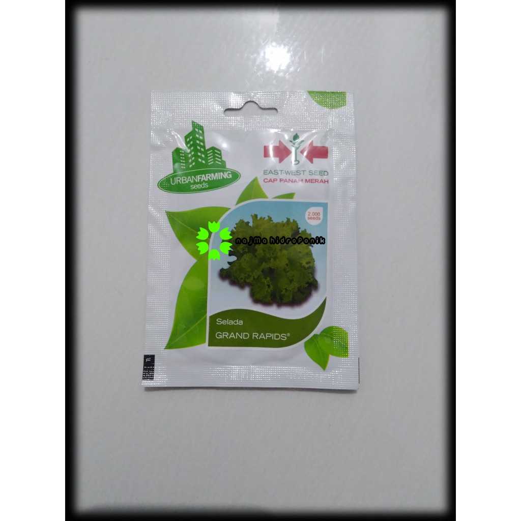 Benih/bibit Selada Grand Rapids Pouch (Panah Merah)