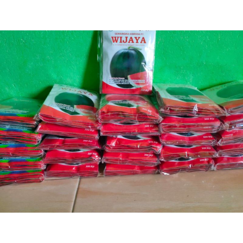 Jual Benih Semangka Bulat Wijaya Shopee Indonesia