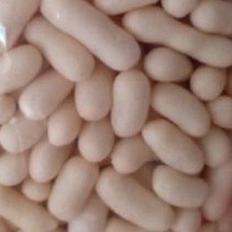 

SNACK/CAMILAN/CEMILAN RENYAH PILUS IKAN ENAK DAN GURIH
