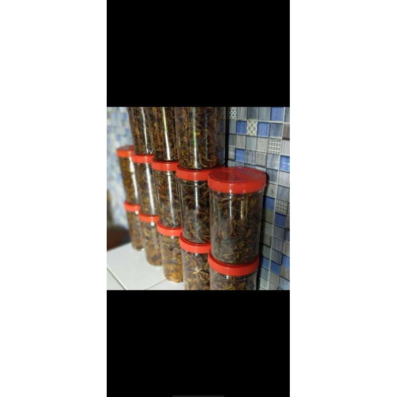 

Belalang Goreng Bang dul