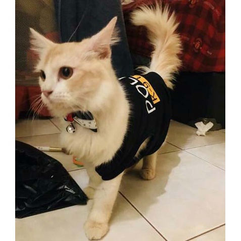 Pakaian Kucing//Baju Kucing/ Pakaian Kostum anjing Kucing POLICE