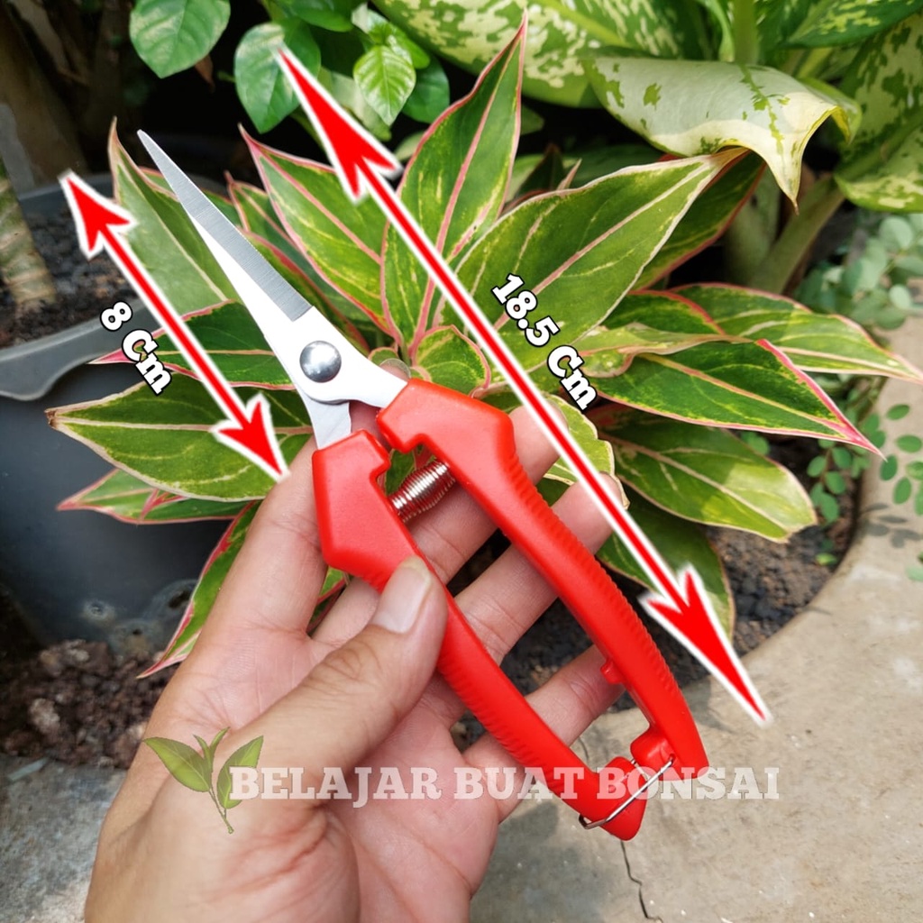 Gunting Dahan Bunga Dan Buah Panjang 18.5 Cm