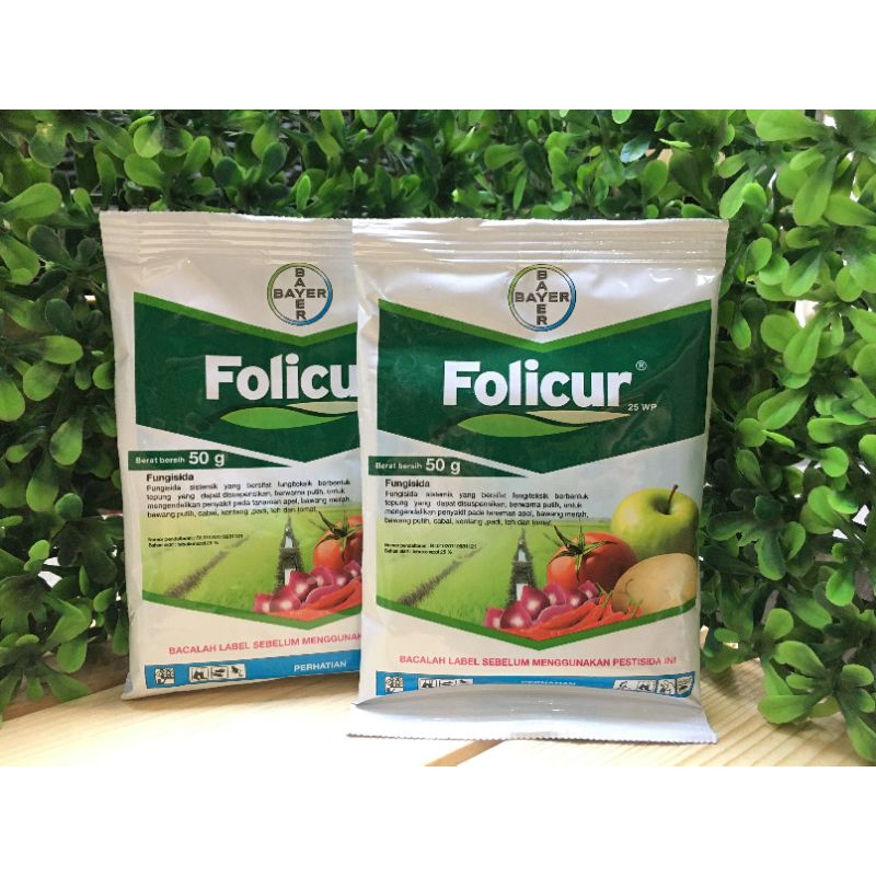 Folicur 25 WP Fungisida 50 gram