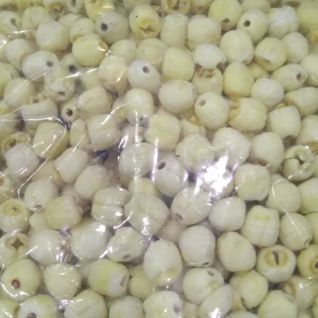 

Lotus seed taiwan selected grade/ lien ci / LIAN ZHI 100 gram
