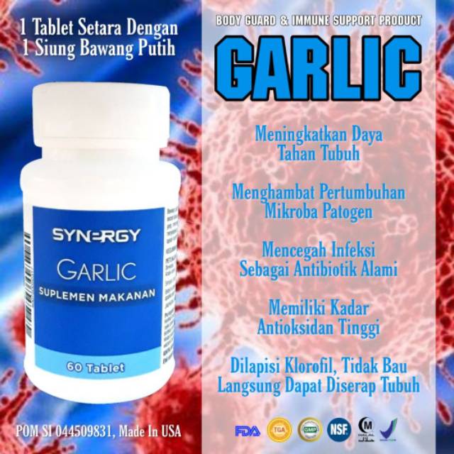 

Garlic Synergy