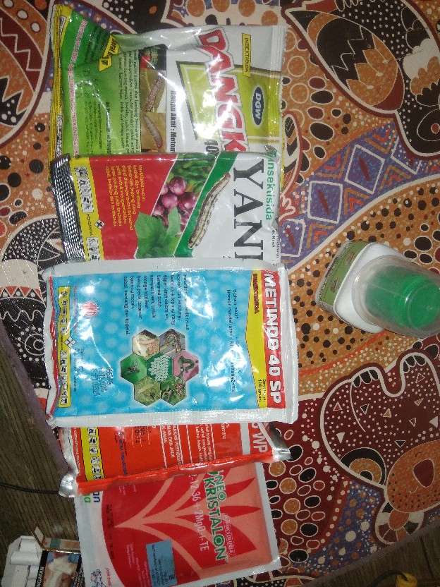 Insektisida Metindo 25wp 100g