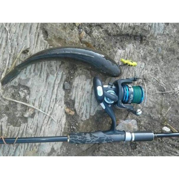 PBM.22Jn22м– Soft frog geol mini Beli 3gratis 1