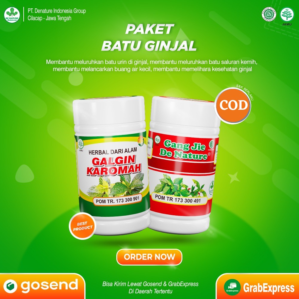 OBAT GALGIN GANG JIE DE NATURE UNTUK KENCING BATU DAN BATU GINJAL