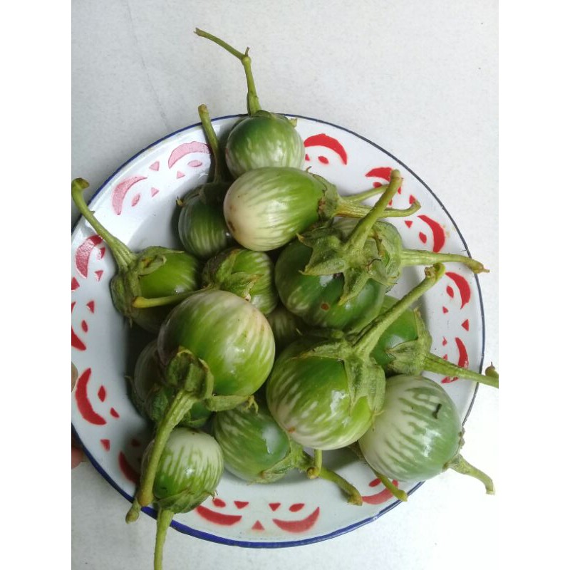 

promo terong hujau kampung segar 1kg