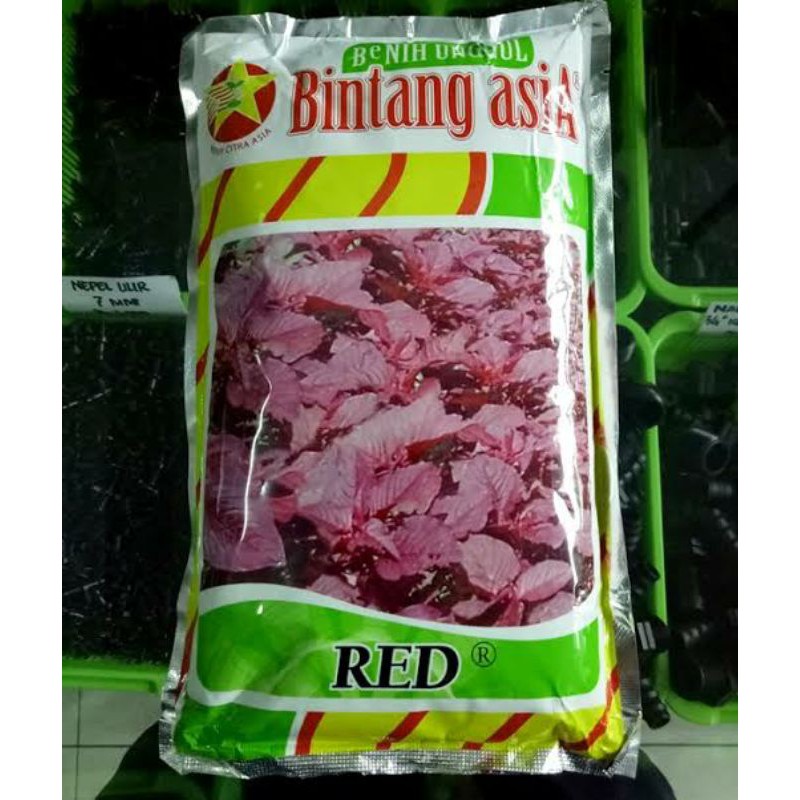 Bibit Bayam Merah / Bibit Bayam / Biji Bayam / Bibit / Benih-Bibit Bayam Merah Red (Bintang Asia)