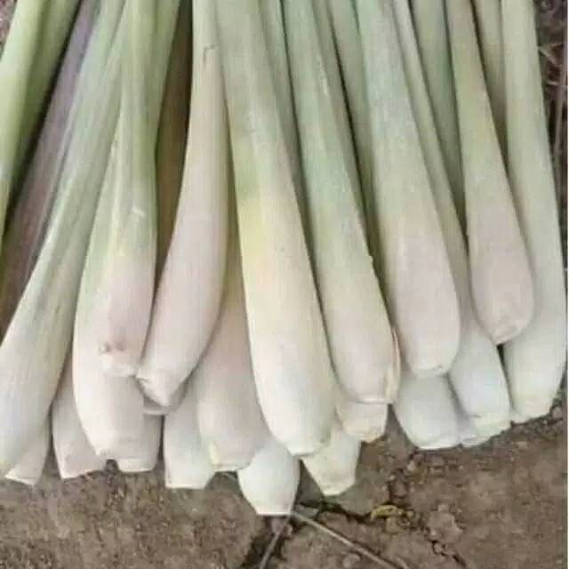 

Sereh bumbu berat 1kg