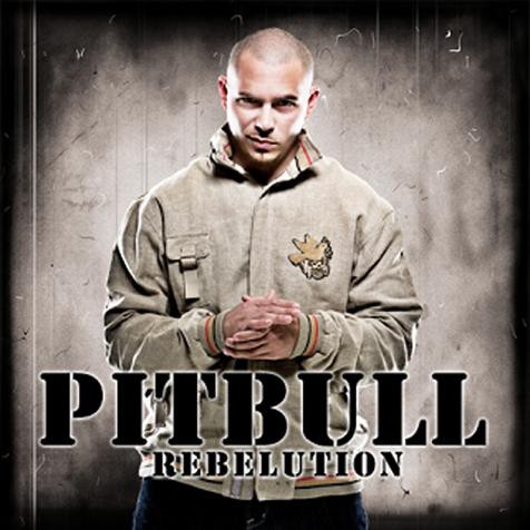 CD MUSIC PIT BULL COVER PUTIH