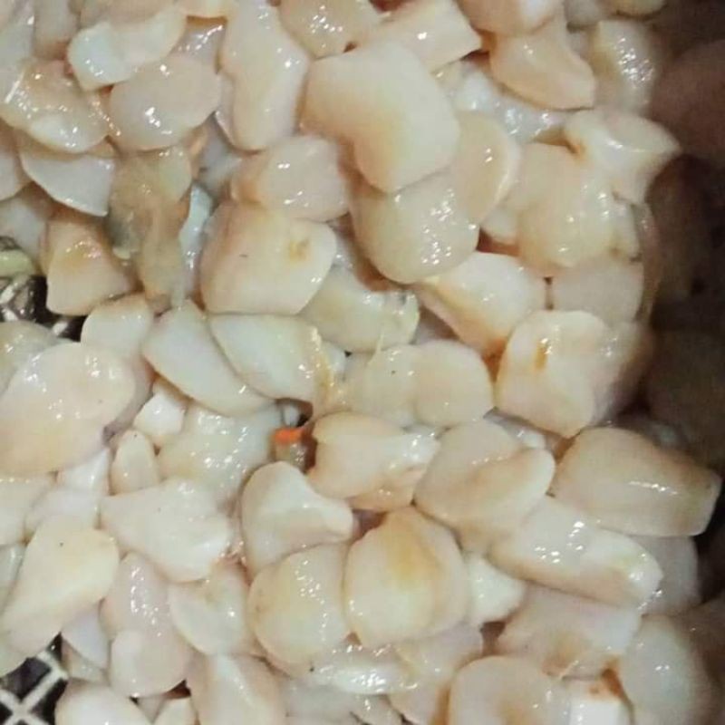 

scallop daging kerang