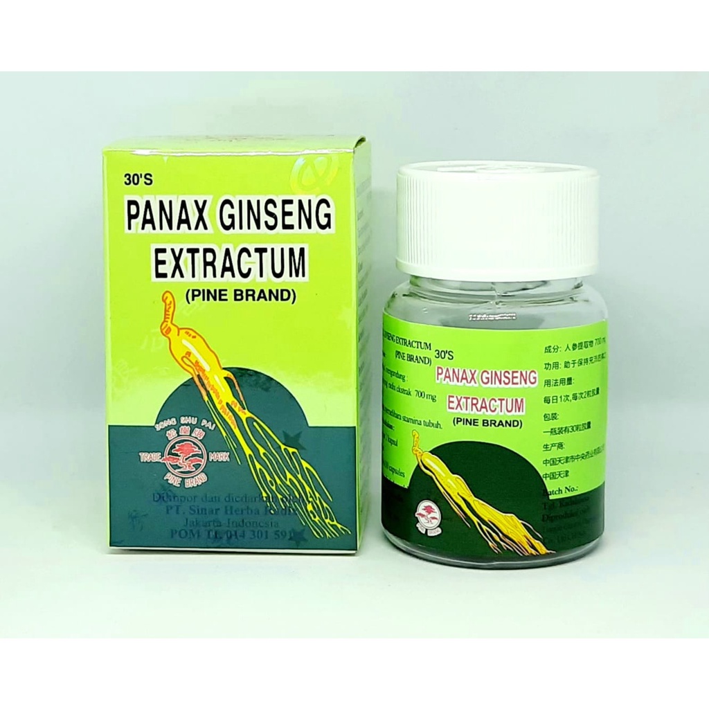 PANAX GINSENG EXTRACTUM vitamin penambah energi - daya tahan tubuh herbal