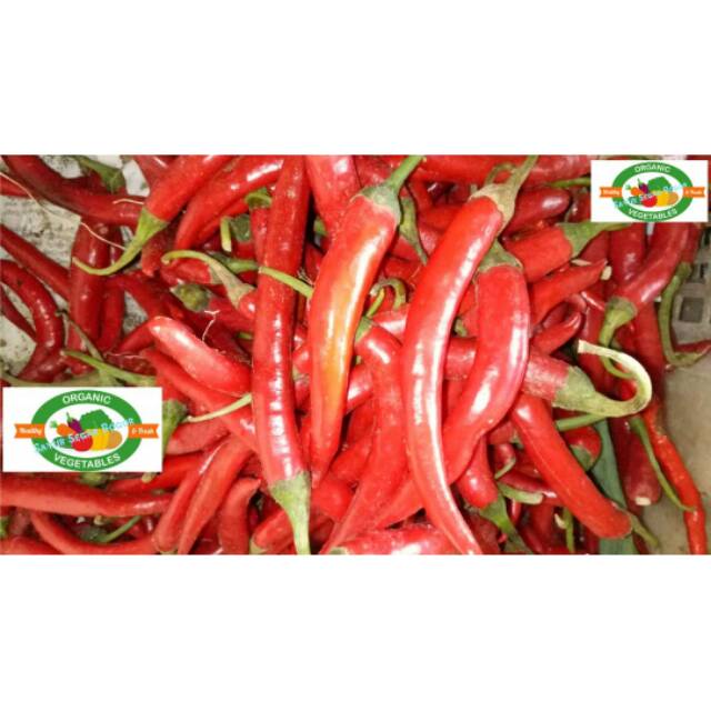 

Cabe Merah / 1/2 Kg