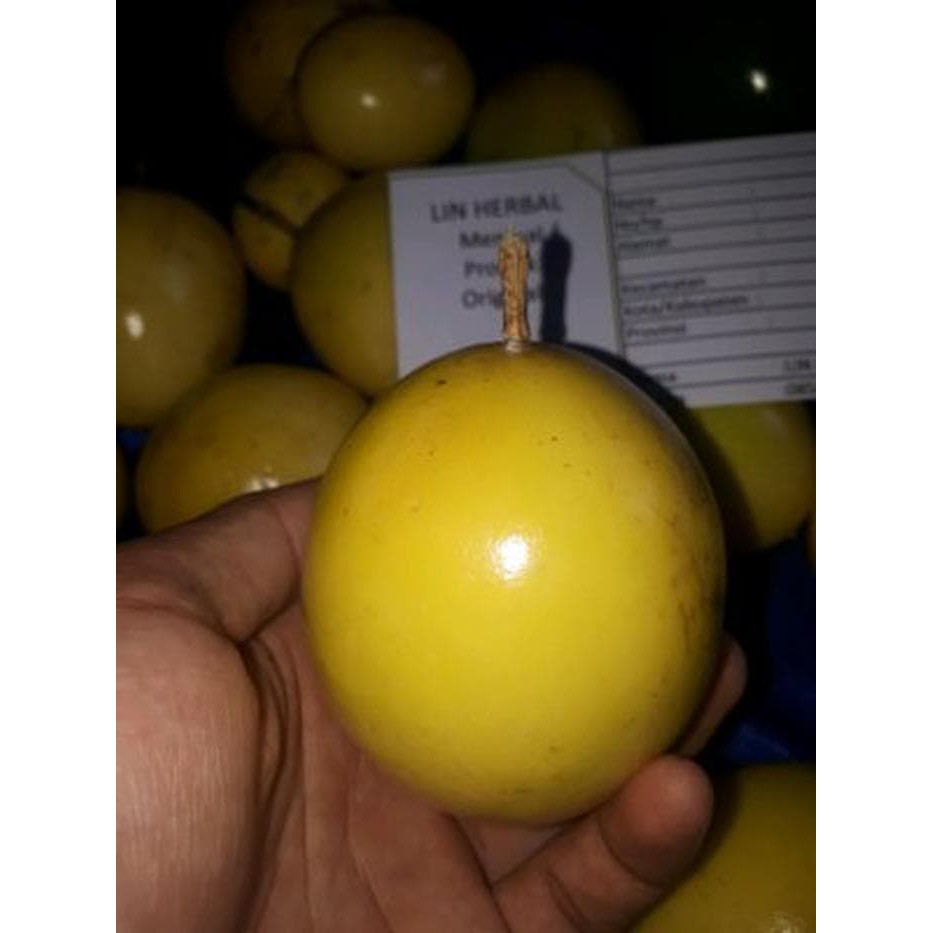 

terbaru jual buah markisa kuning mateng segar Murah