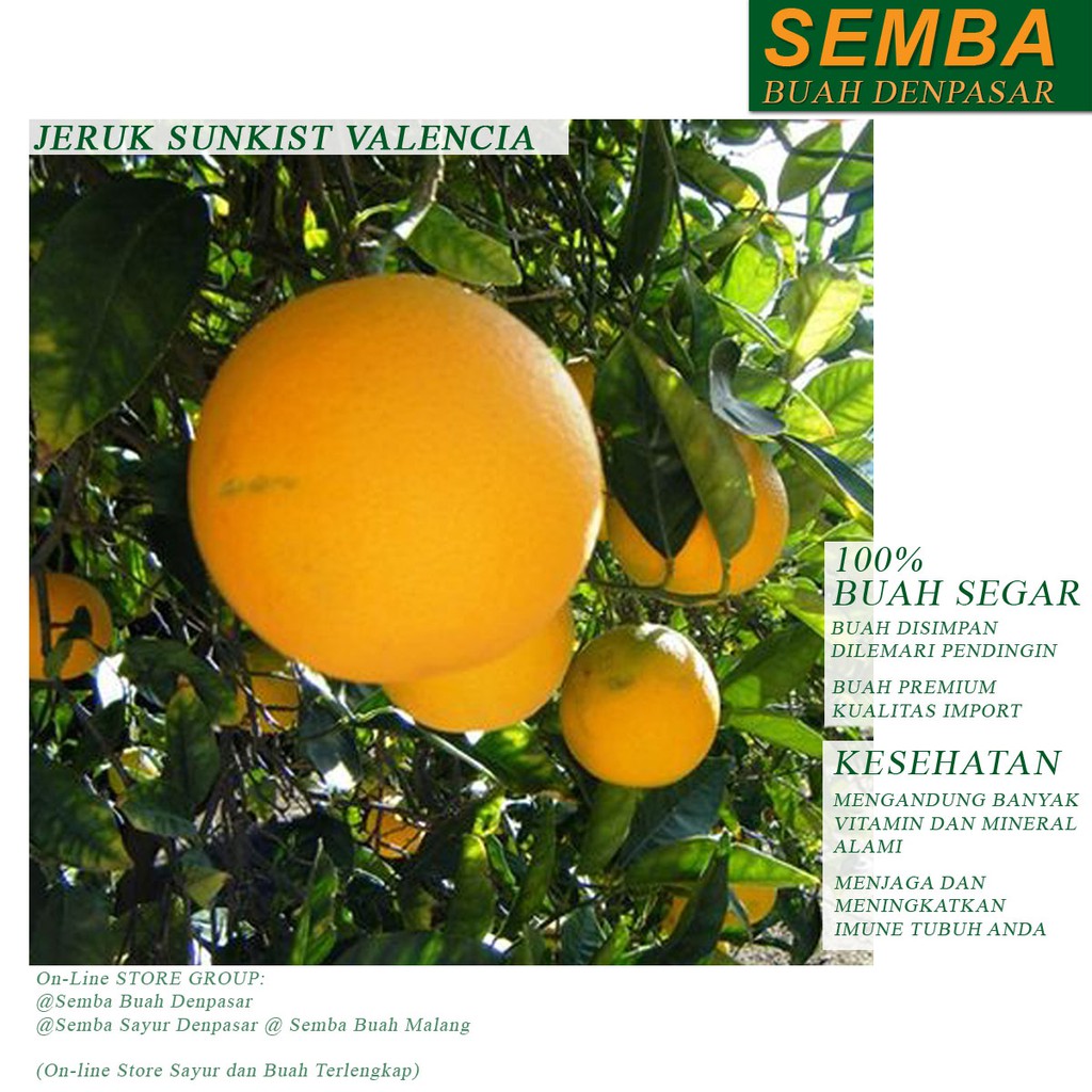 

JERUK SUNKIST VALENCIA buah fruit sayur sayuran sembako pangan bahan makanan fresh DENPASAR BALI