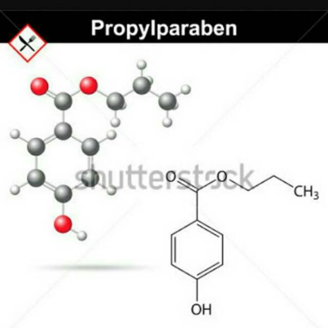 Propyl Paraben / Propil Paraben / Nipasol ( 100 gr )