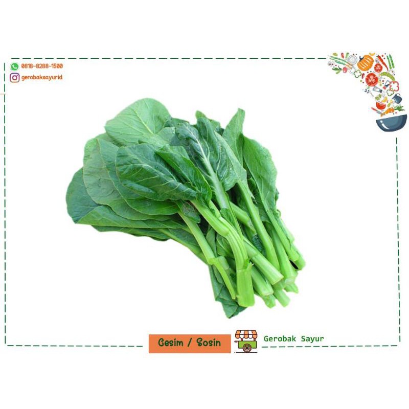 

Cesim / Sosin 500 gr